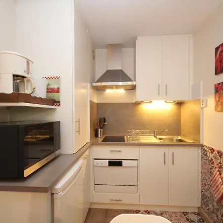 T2 Au Mont-dore Avec Garage Double Et Wifi - Fr-1-608-114 Le Mont-Dore