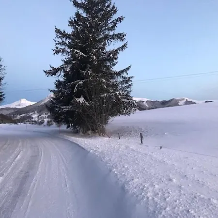 T2 Au Mont-dore Avec Garage Double Et Wifi - Fr-1-608-114 Apartment *