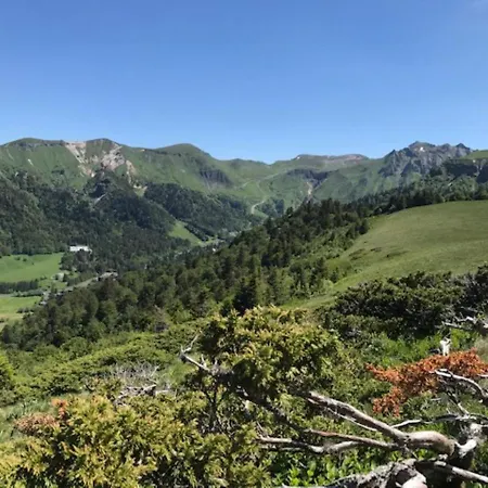 شقة T2 Au Mont-dore Avec Garage Double Et Wifi - Fr-1-608-114 لو مونت دوري