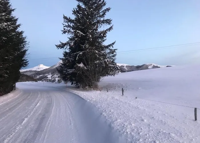 T2 Au Mont-dore Avec Garage Double Et Wifi - Fr-1-608-114 Apartamento *