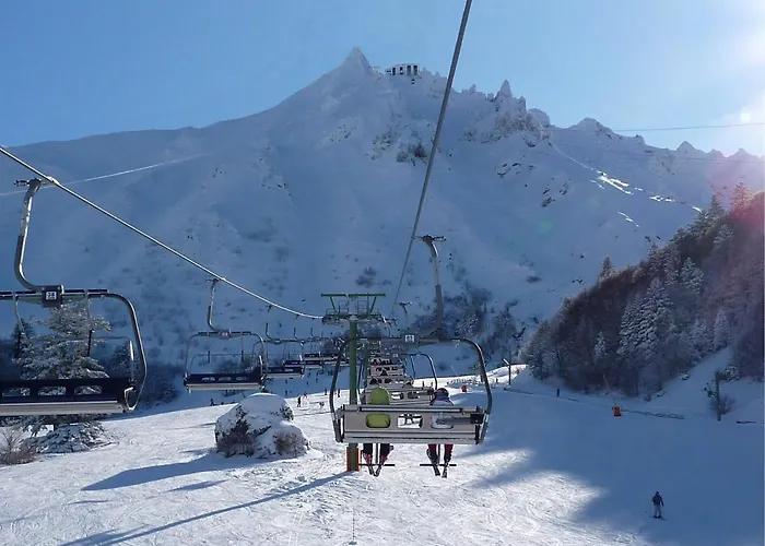 T2 Au Mont-dore Avec Garage Double Et Wifi - Fr-1-608-114 Apartamento *