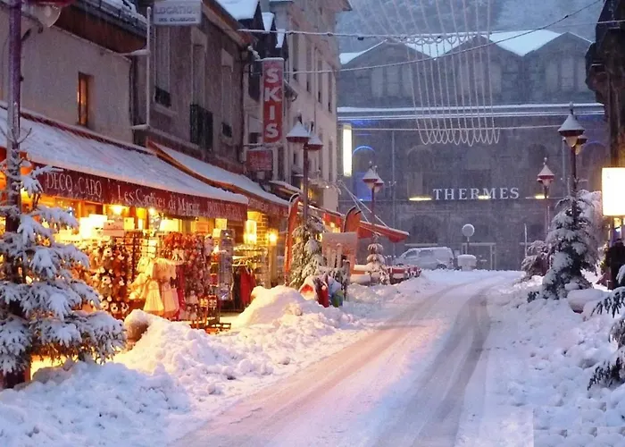 T2 Au Mont-dore Avec Garage Double Et Wifi - Fr-1-608-114 Apartamento