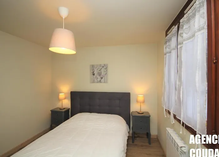 Apartamento T2 Au Mont-dore Avec Garage Double Et Wifi - Fr-1-608-114 Mont-Dore