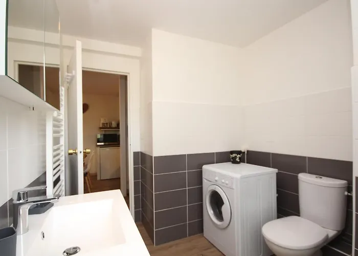 Apartamento T2 Au Mont-dore Avec Garage Double Et Wifi - Fr-1-608-114 Mont-Dore