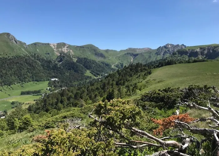 Apartamento T2 Au Mont-dore Avec Garage Double Et Wifi - Fr-1-608-114 Mont-Dore